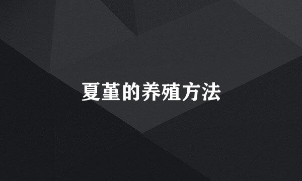 夏堇的养殖方法