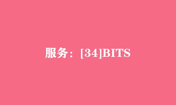 服务：[34]BITS