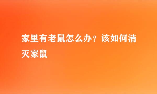 家里有老鼠怎么办？该如何消灭家鼠