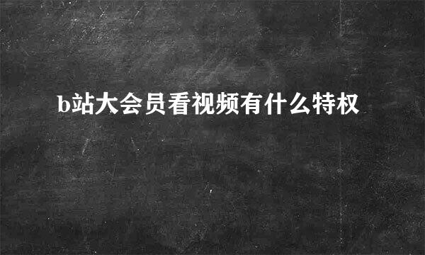 b站大会员看视频有什么特权