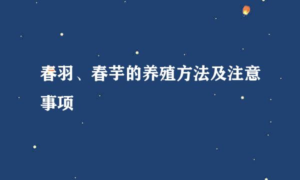 春羽、春芋的养殖方法及注意事项
