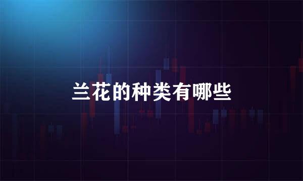 兰花的种类有哪些