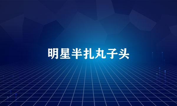 明星半扎丸子头