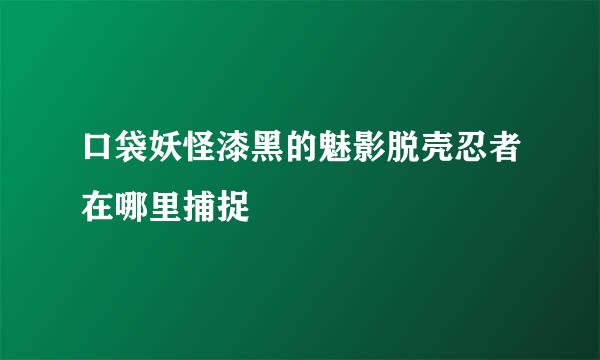 口袋妖怪漆黑的魅影脱壳忍者在哪里捕捉