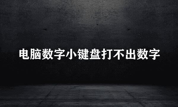 电脑数字小键盘打不出数字