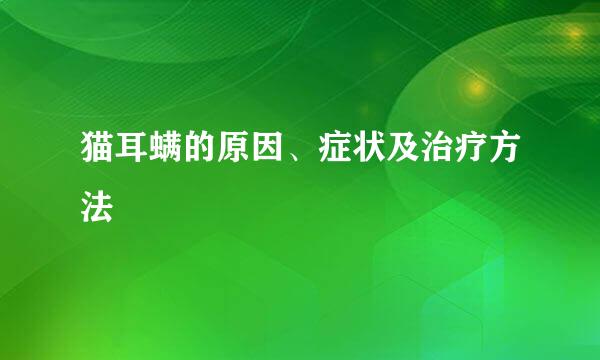 猫耳螨的原因、症状及治疗方法