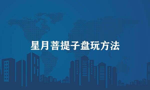 星月菩提子盘玩方法