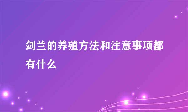 剑兰的养殖方法和注意事项都有什么