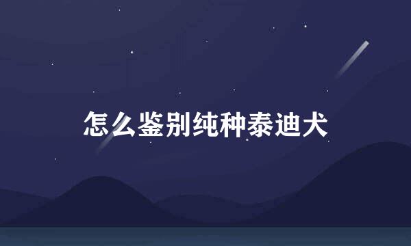 怎么鉴别纯种泰迪犬