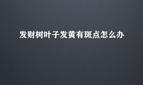发财树叶子发黄有斑点怎么办