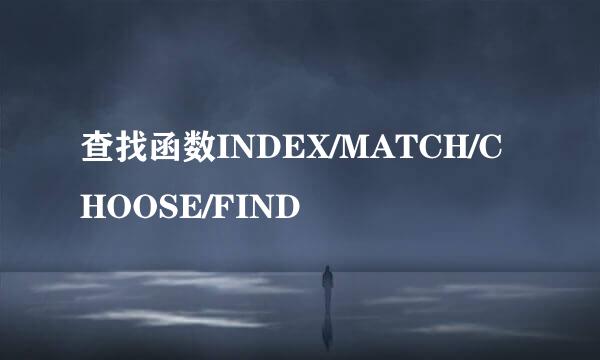 查找函数INDEX/MATCH/CHOOSE/FIND