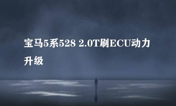 宝马5系528 2.0T刷ECU动力升级