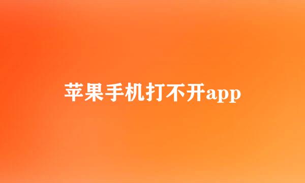 苹果手机打不开app