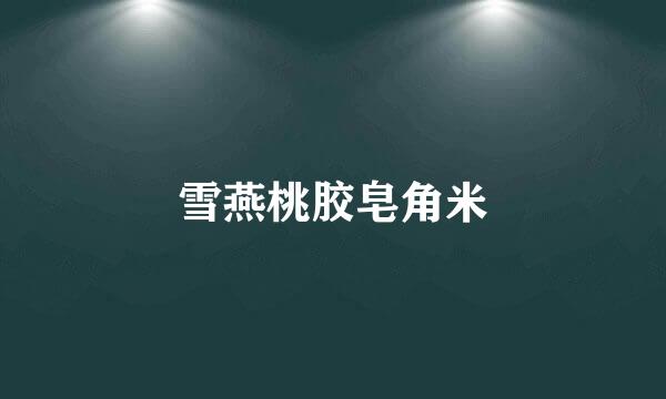 雪燕桃胶皂角米