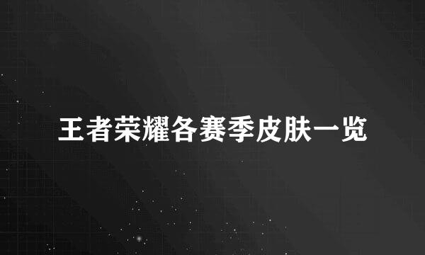 王者荣耀各赛季皮肤一览