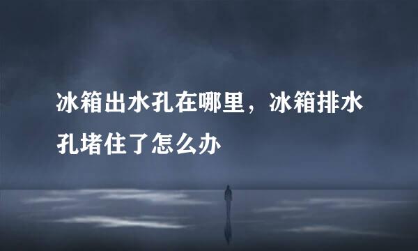 冰箱出水孔在哪里，冰箱排水孔堵住了怎么办
