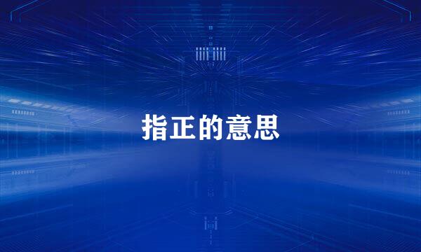 指正的意思