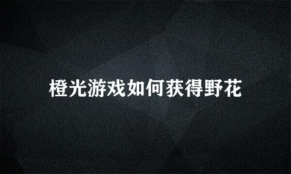 橙光游戏如何获得野花