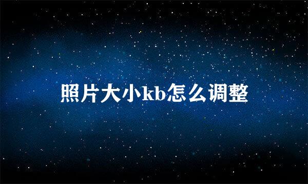 照片大小kb怎么调整