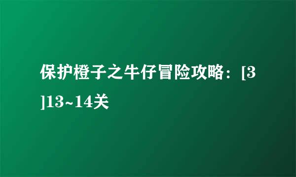 保护橙子之牛仔冒险攻略：[3]13~14关