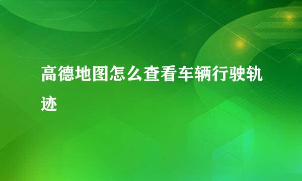 高德地图怎么查看车辆行驶轨迹