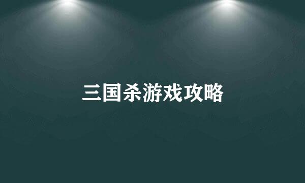 三国杀游戏攻略