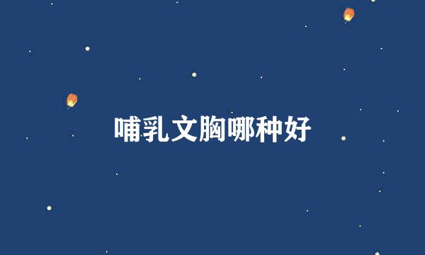 哺乳文胸哪种好