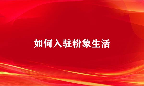 如何入驻粉象生活
