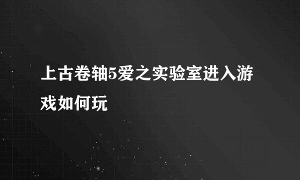 上古卷轴5爱之实验室进入游戏如何玩