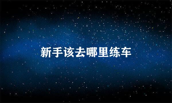 新手该去哪里练车