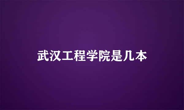 武汉工程学院是几本