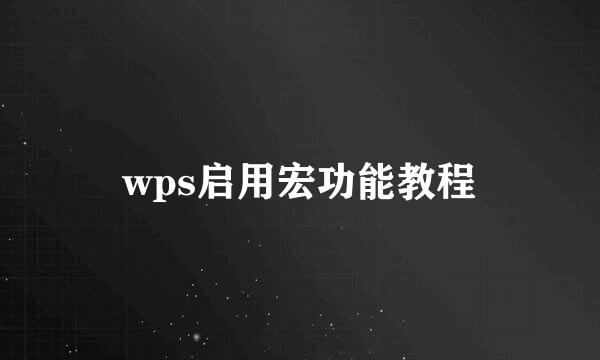 wps启用宏功能教程