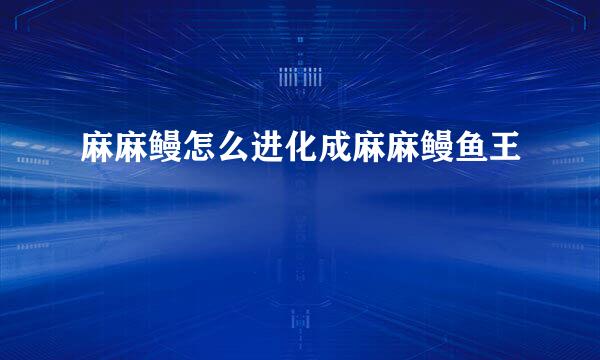 麻麻鳗怎么进化成麻麻鳗鱼王