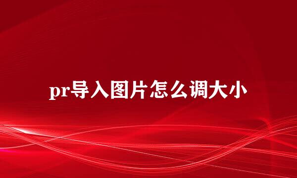 pr导入图片怎么调大小