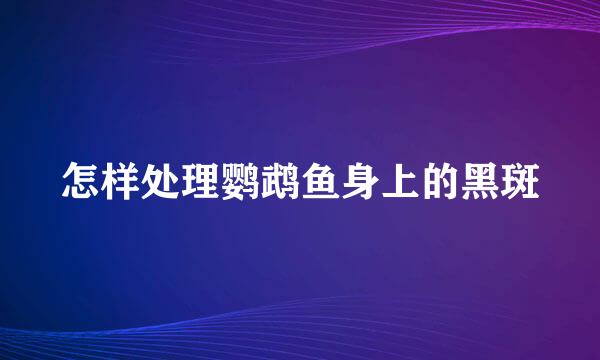 怎样处理鹦鹉鱼身上的黑斑