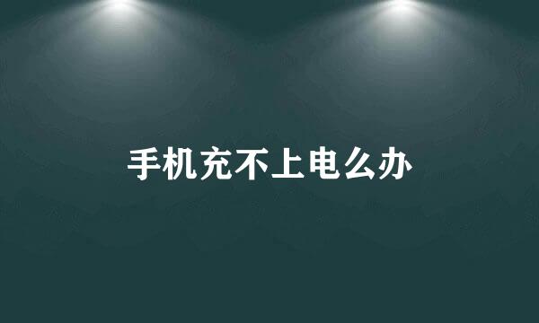 手机充不上电么办