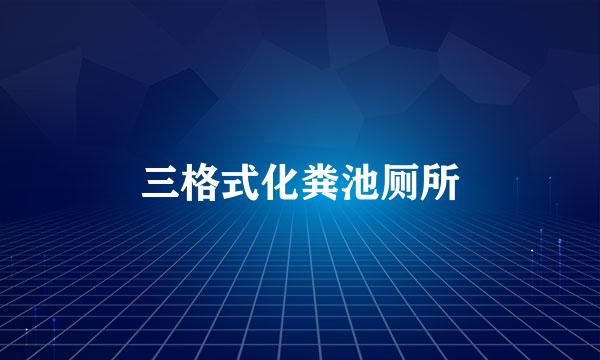 三格式化粪池厕所