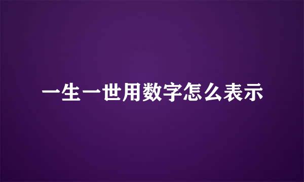 一生一世用数字怎么表示