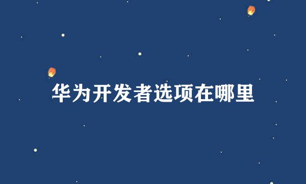 华为开发者选项在哪里