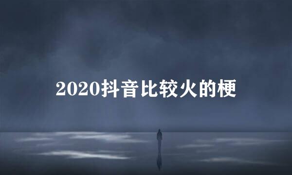 2020抖音比较火的梗