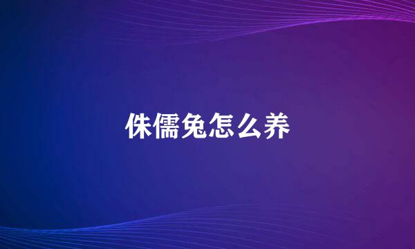 侏儒兔怎么养