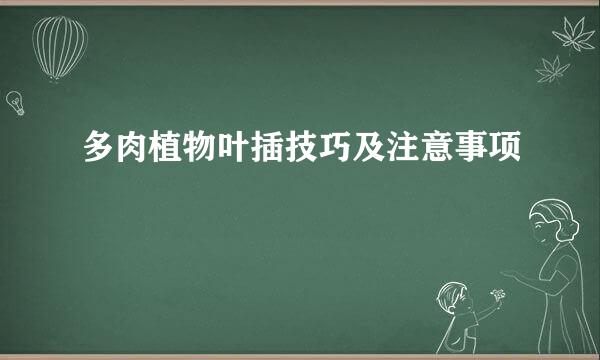 多肉植物叶插技巧及注意事项