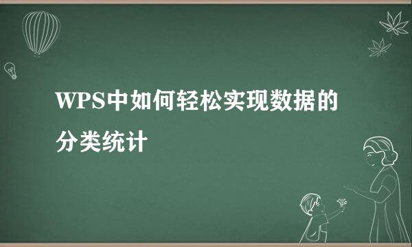 WPS中如何轻松实现数据的分类统计
