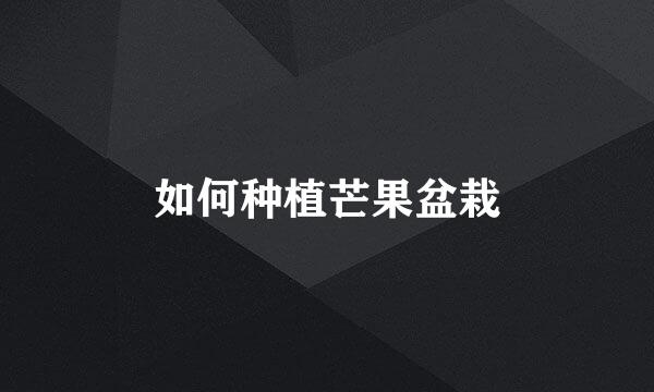 如何种植芒果盆栽