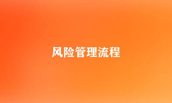 风险管理流程