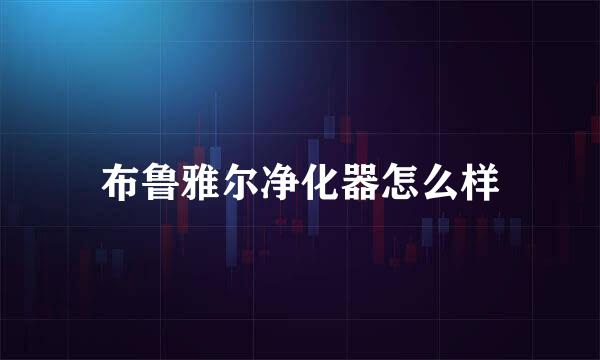 布鲁雅尔净化器怎么样