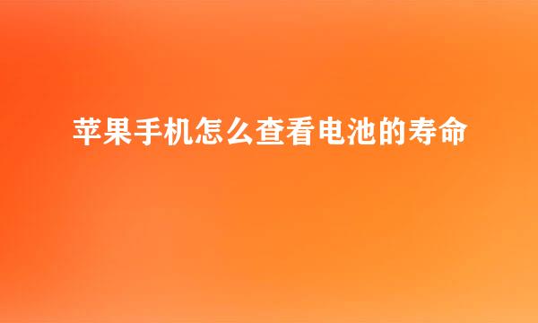 苹果手机怎么查看电池的寿命