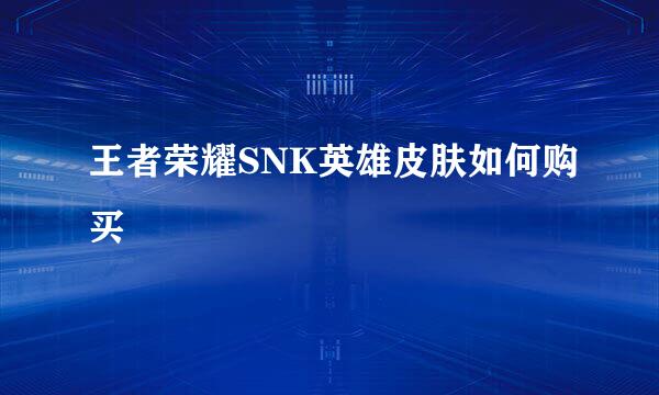 王者荣耀SNK英雄皮肤如何购买