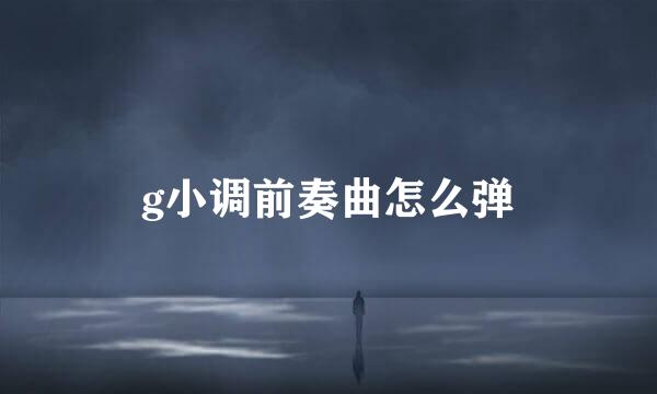 g小调前奏曲怎么弹