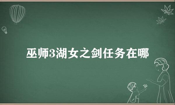 巫师3湖女之剑任务在哪
